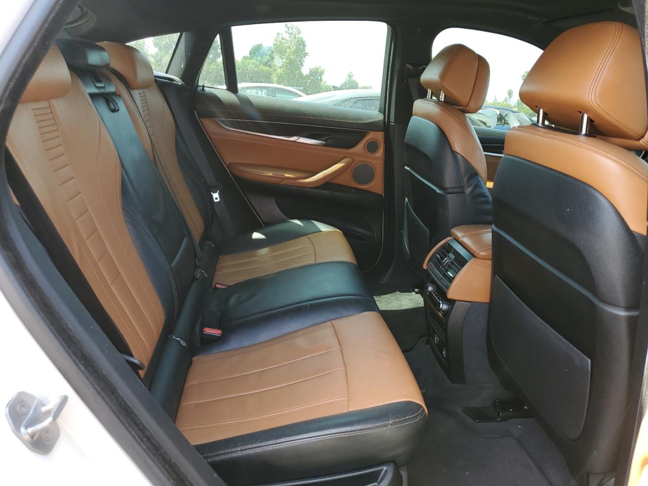 2017 BMW X6 Sdrive35I VIN: 5UXKU0C3XH0F99876 Lot: 60454805