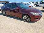 2013 Honda Accord Exl en Venta en San Antonio, TX - Mechanical