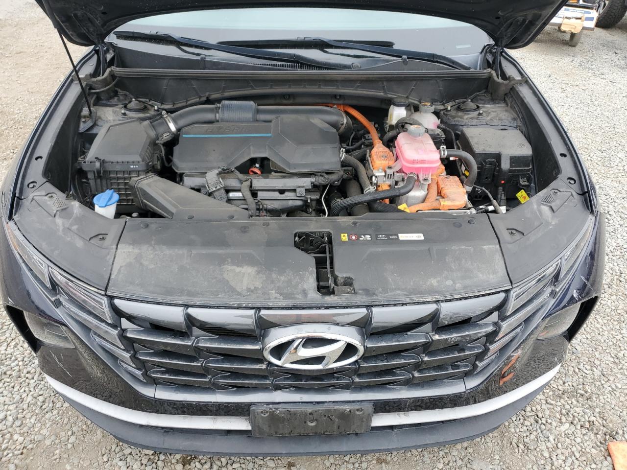 2022 Hyundai Tucson Blue VIN: KM8JBCA18NU062071 Lot: 59700175