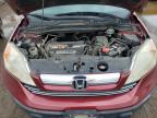2009 Honda Cr-V Exl for Sale in Brighton, CO - Hail