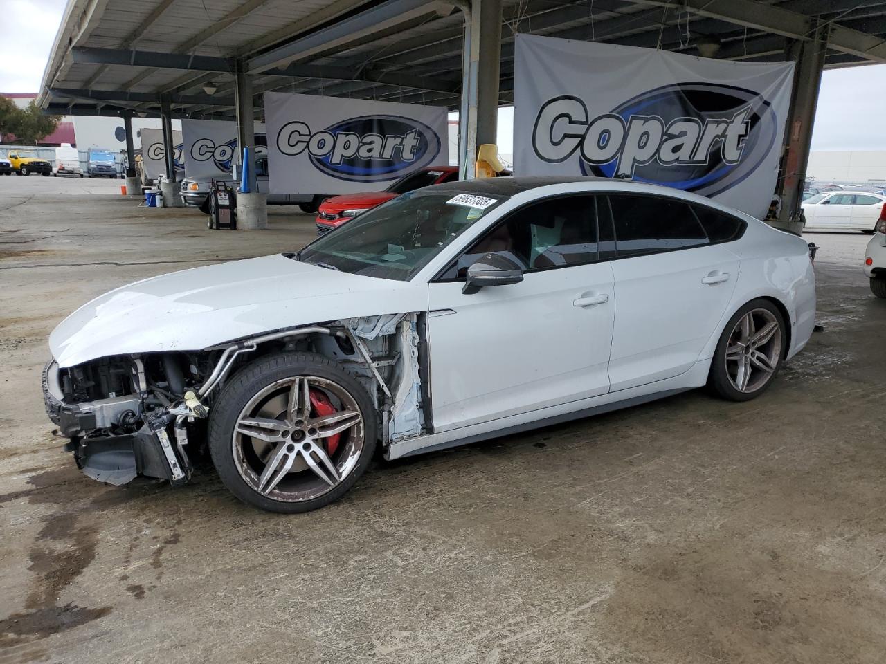 2019 Audi S5 Prestige for Sale in Hayward, CA - Front End