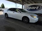 2008 Lexus Es 350 на продаже в Hayward, CA - Minor Dent/Scratches