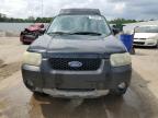 2005 Ford Escape Xlt продається в Louisville, KY - Hail