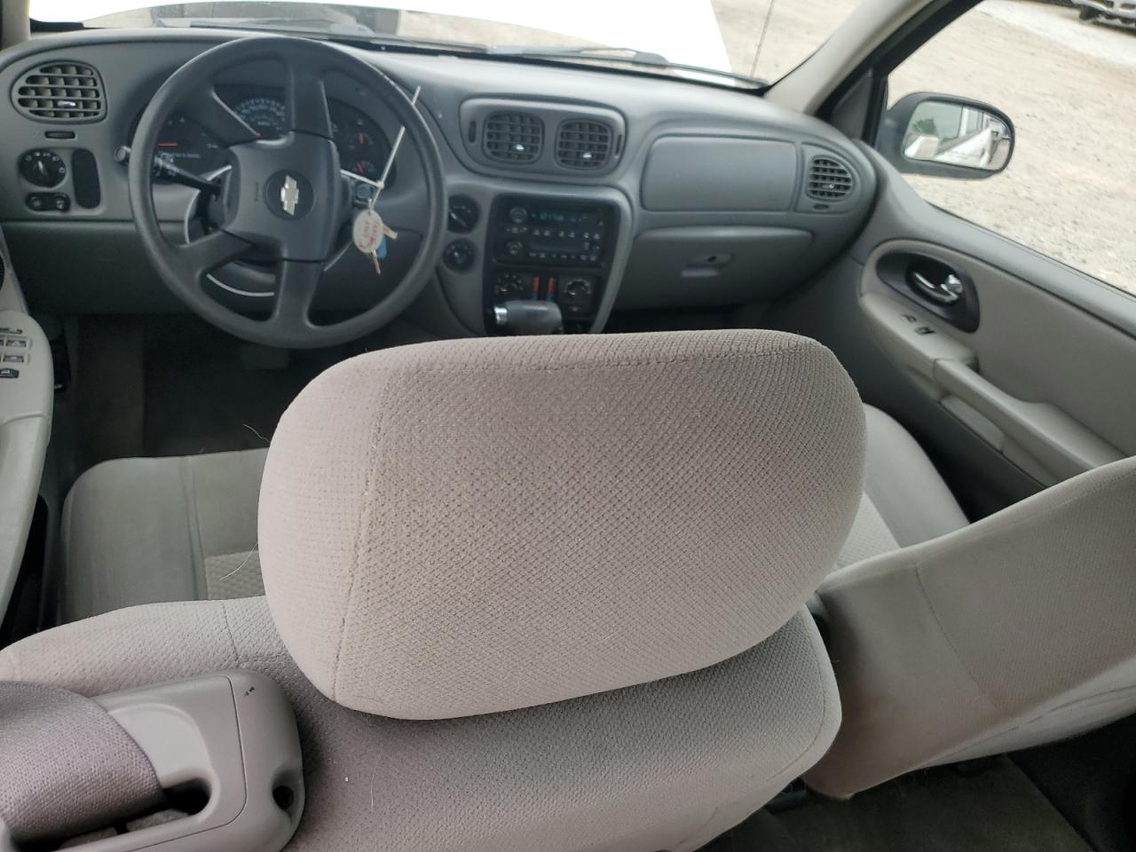 2007 Chevrolet Trailblazer Ls VIN: 1GNDT13S672229817 Lot: 62755895