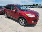 2013 FORD ESCAPE SEL   à vendre chez Copart OK - OKLAHOMA CITY
