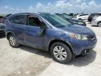 2013 Honda Cr-V Exl на продаже в West Palm Beach, FL - All Over