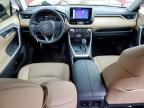 Brighton, CO에서 판매 중인 2024 Toyota Rav4 Xle Premium - Front End