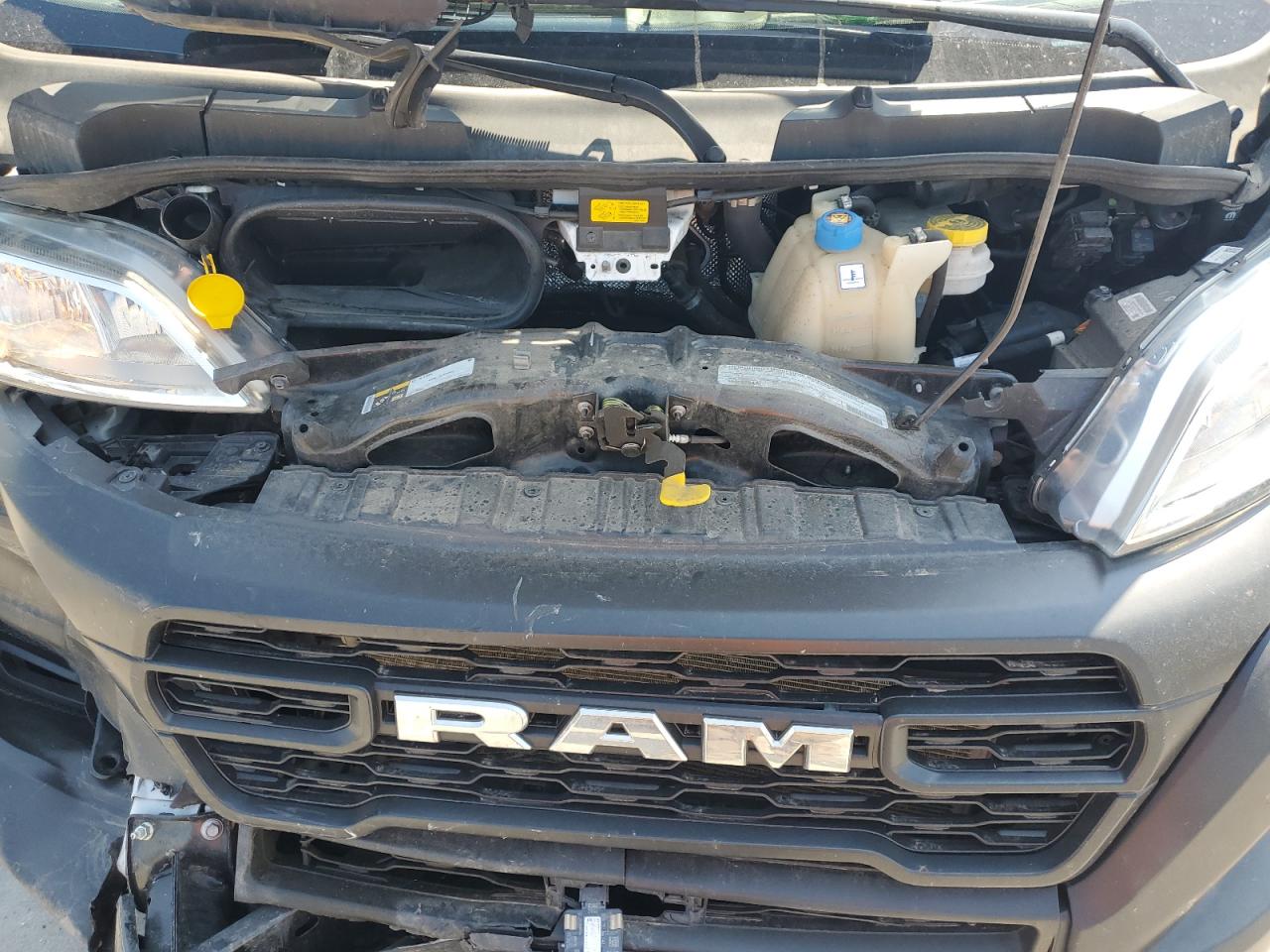 2024 Ram Promaster 2500 2500 High VIN: 3C6LRVDG7RE114337 Lot: 63038625