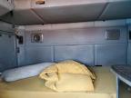 2015 Kenworth T680 Semi Truck for Sale in Glassboro, NJ - Normal Wear