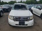 2009 Ford Escape Xlt   იყიდება New Britain-ში, CT - Front End