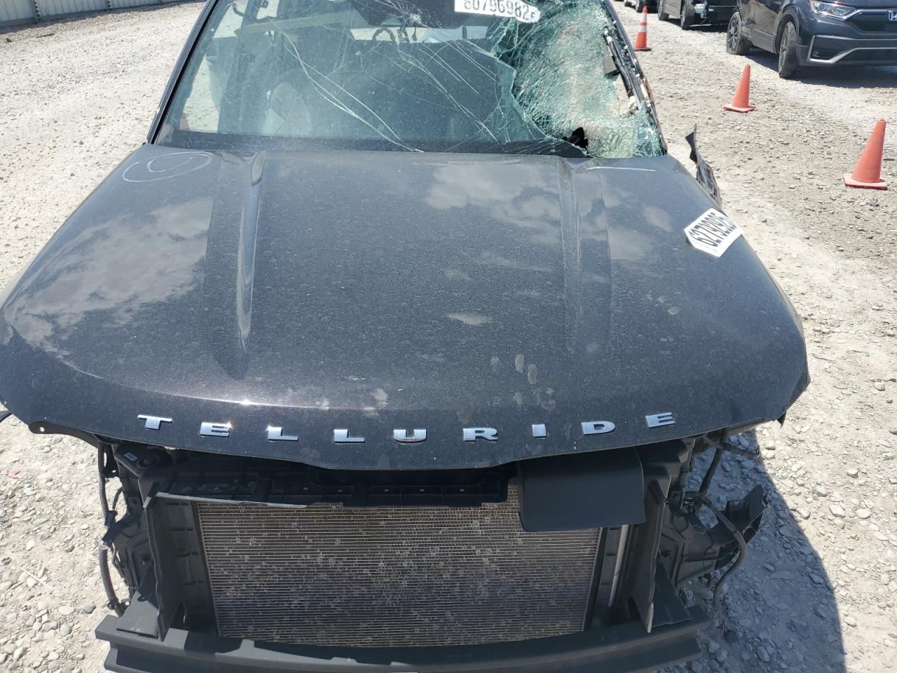 2020 Kia Telluride Sx VIN: 5XYP54HC0LG039773 Lot: 62792925