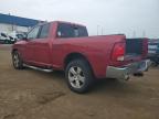 2010 Dodge Ram 1500  for Sale in Woodhaven, MI - Rear End