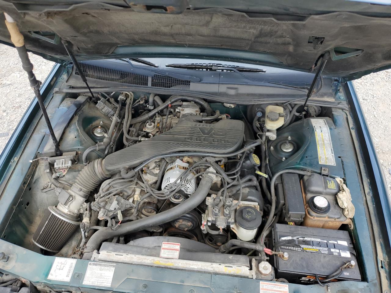 1995 Ford Thunderbird Lx VIN: 1FALP62W6SHB94976 Lot: 62276415