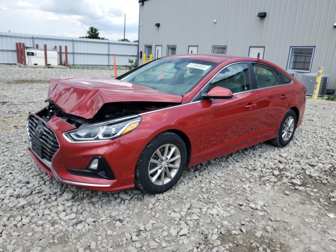 5NPE24AF3KH764392 HYUNDAI SONATA Photo 1