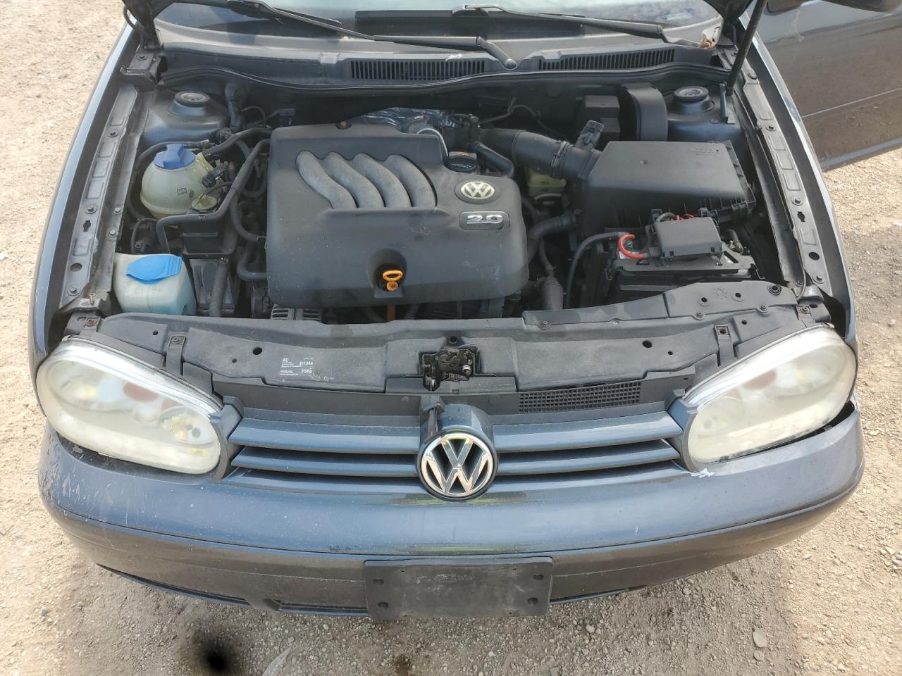 2004 Volkswagen Golf Gl VIN: 9BWFL61J144008074 Lot: 84041875