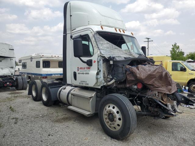 2020 Freightliner Cascadia 125 Semi Truck