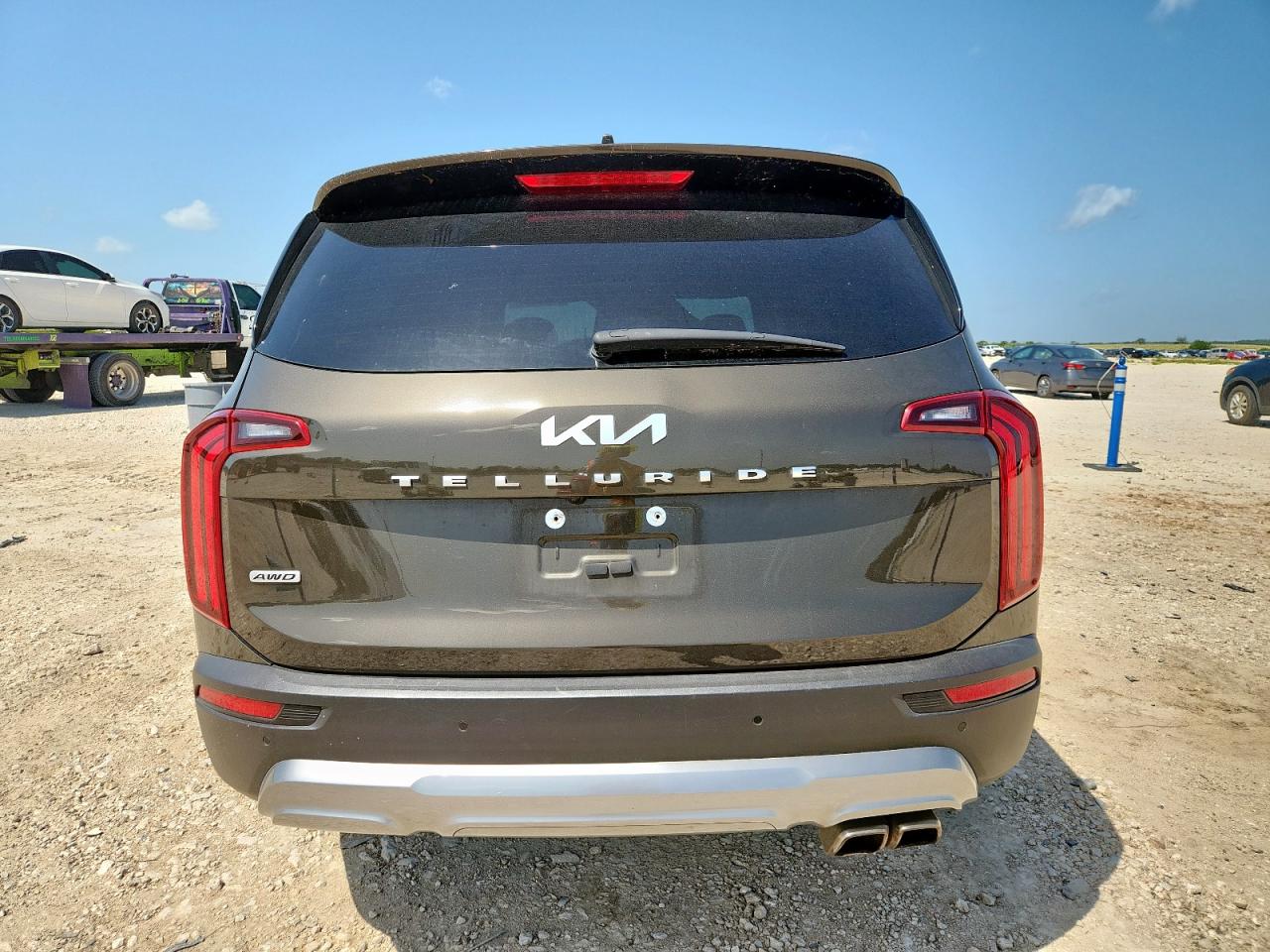 2022 Kia Telluride Sx VIN: 5XYP5DHC6NG194623 Lot: 60648055