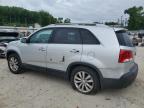 2011 Kia Sorento Ex na sprzedaż w Hampton, VA - Side