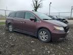 2015 Honda Odyssey Exl for Sale in Cicero, IN - Front End