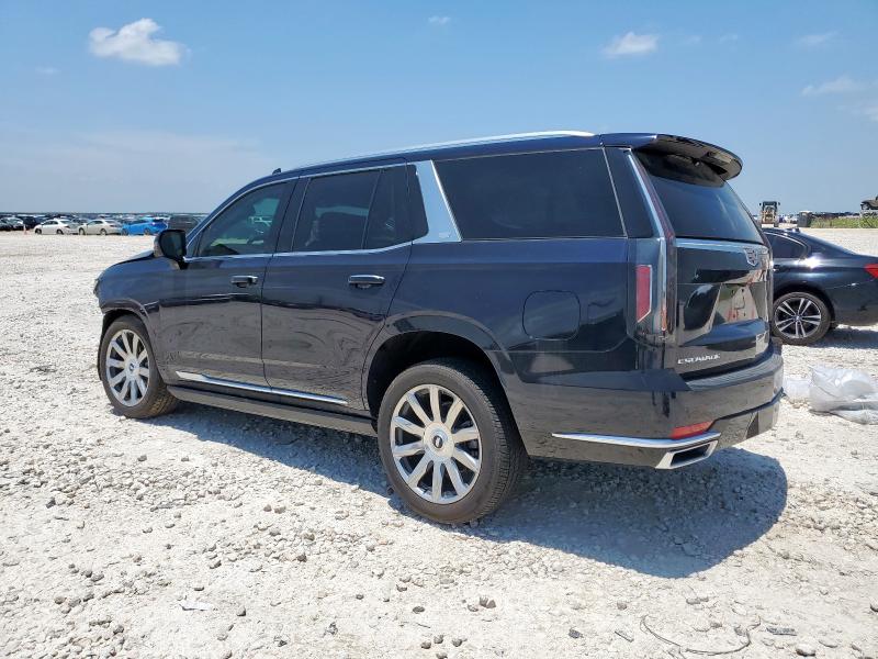  CADILLAC ESCALADE 2024 Синий