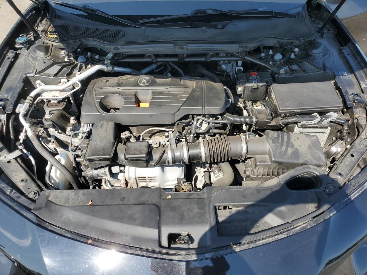 2021 Acura Tlx Technology VIN: 19UUB5F47MA013509 Lot: 62069085