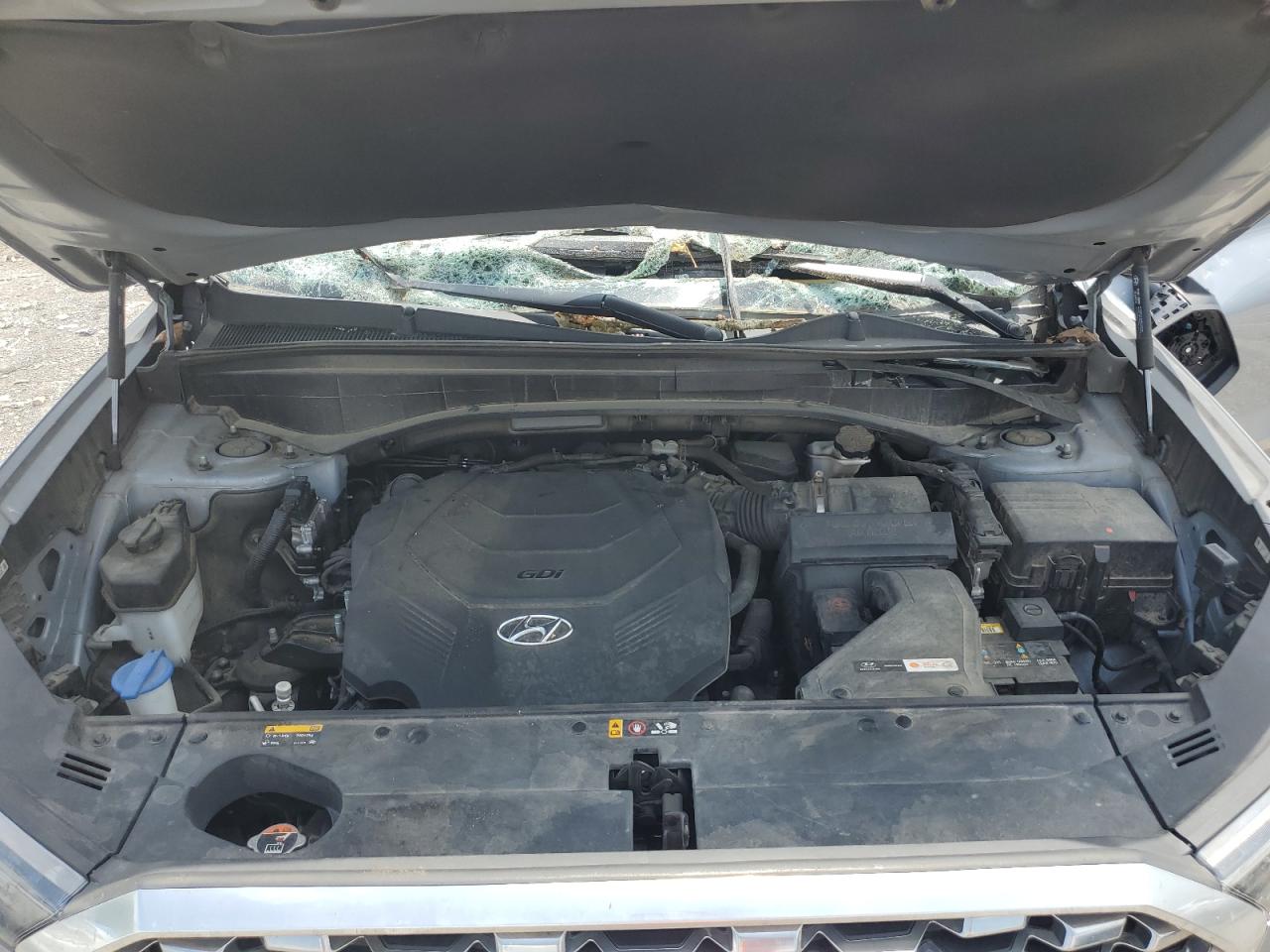 2020 Hyundai Palisade Sel VIN: KM8R44HE7LU030365 Lot: 60313125