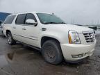 2011 Cadillac Escalade Esv Premium за продажба в Woodhaven, MI - Front End