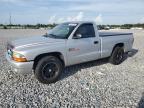 2001 Dodge Dakota  de vânzare în Arcadia, FL - Rear End