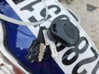 2007 HARLEY-DAVIDSON XL1200 C   for sale at Copart FL - TAMPA SOUTH