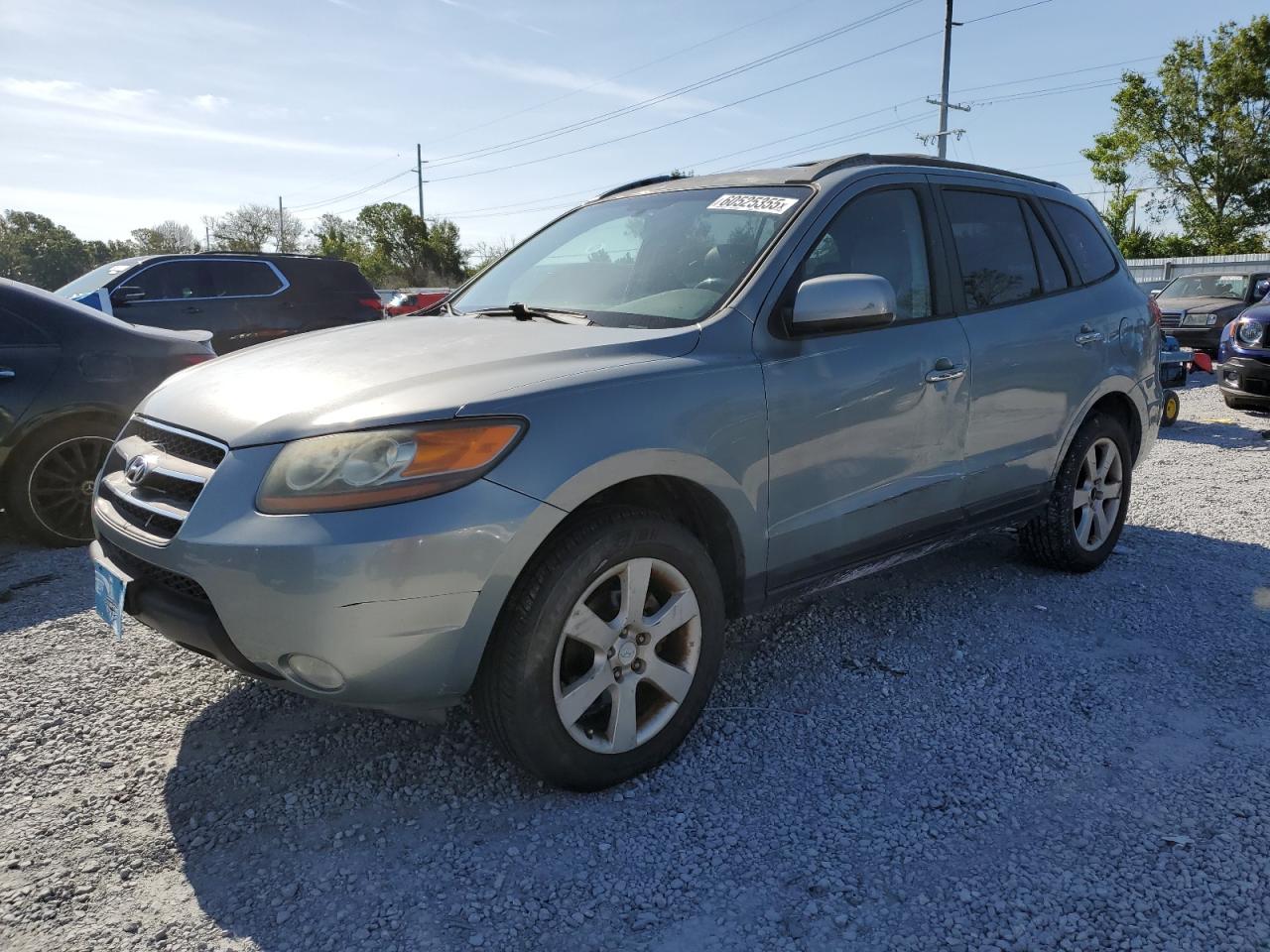 2007 Hyundai Santa Fe Se للبيع في Riverview، FL - Side