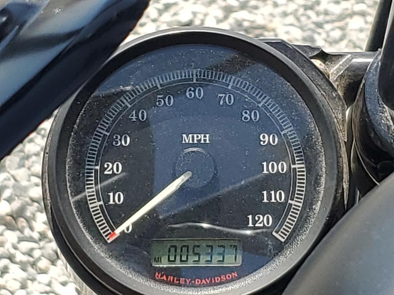 2013 Harley-Davidson Xl883 Iron 883 VIN: 1HD4LE237DC403313 Lot: 60869545