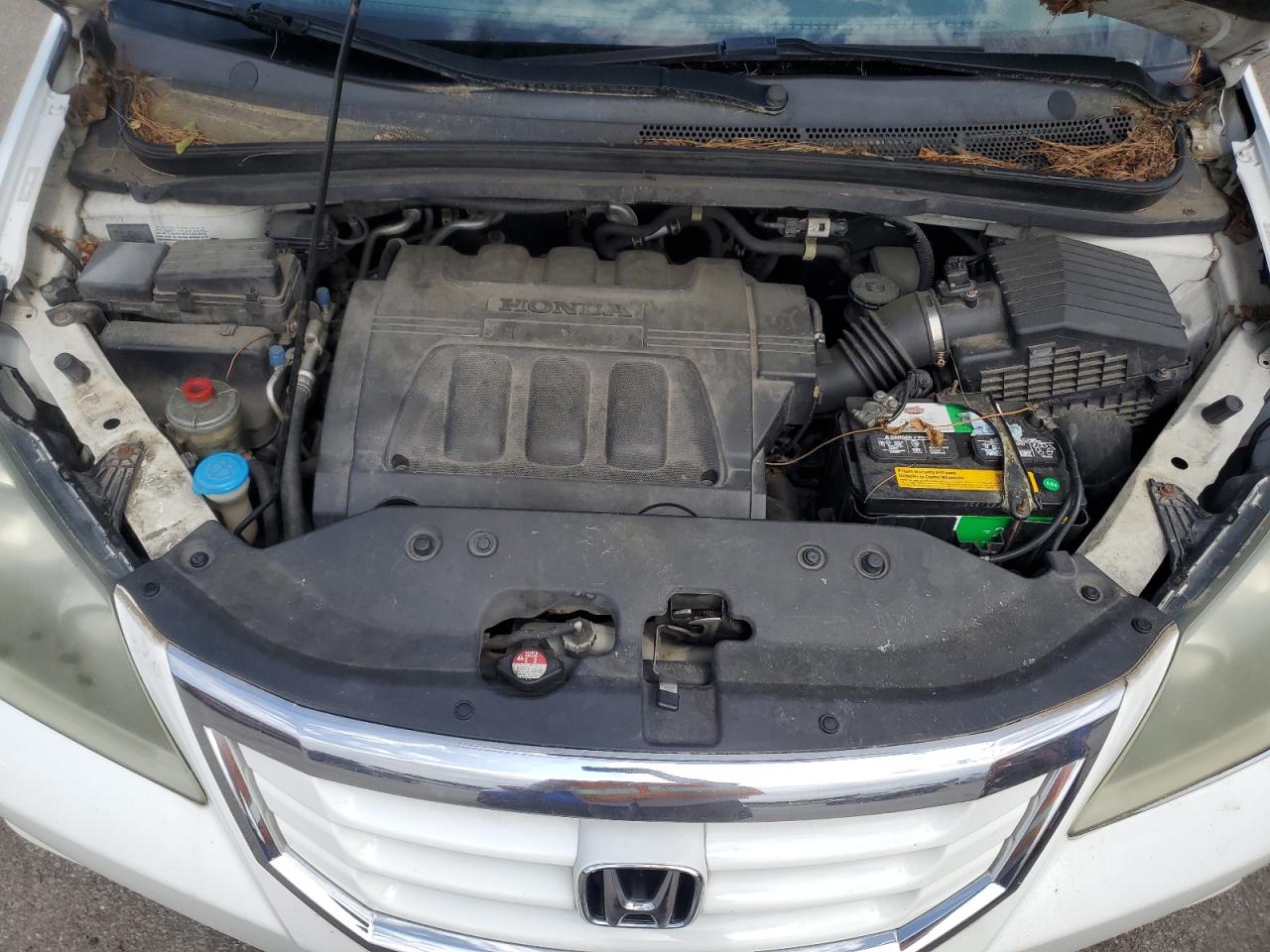 2010 Honda Odyssey Exl VIN: 5FNRL3H65AB032440 Lot: 61971135