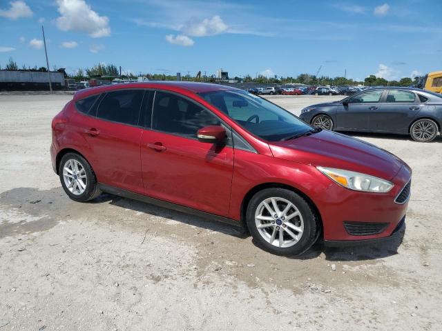 Hatchbacks FORD FOCUS 2016 Red