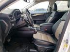 2021 Ford Escape Titanium for Sale in New Braunfels, TX - Hail