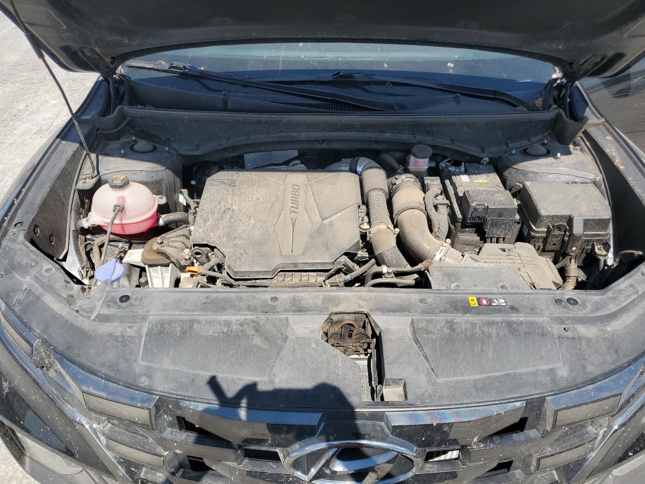 2023 Hyundai Santa Cruz Night VIN: 5NTJCDAF6PH044900 Lot: 61789325