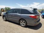 2019 Honda Odyssey Exl იყიდება Albuquerque-ში, NM - Front End