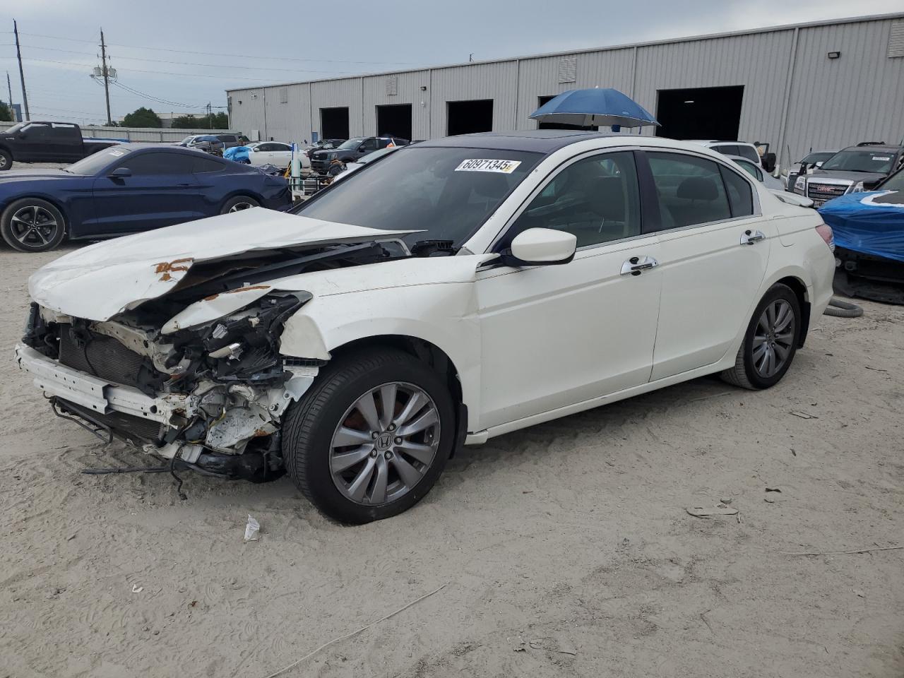 2011 Honda Accord Exl 3.5L იყიდება Jacksonville-ში, FL - Front End