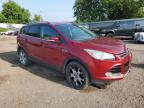 2014 Ford Escape Titanium   იყიდება Davison-ში, MI - Front End