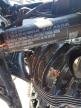 2024 INDIAN MOTORCYCLE CO. SPORT CHIEF    for sale at Copart FL - ORLANDO NORTH