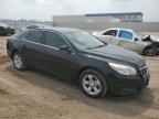 2013 Chevrolet Malibu 1Lt de vânzare în Greenwood, NE - Hail