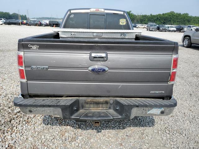 Пикапы FORD F-150 2014 Серый