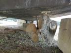 1984 'Other Boat' Boat for Sale in Brookhaven, NY - Burn