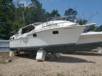 1984 'Other Boat' Boat for Sale in Brookhaven, NY - Burn