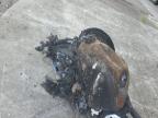 2004 Yamaha Yzfr6 L for Sale in Orlando, FL - Burn