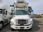 2019 Hino 258/268  იყიდება Brookhaven-ში, NY - Top/Roof