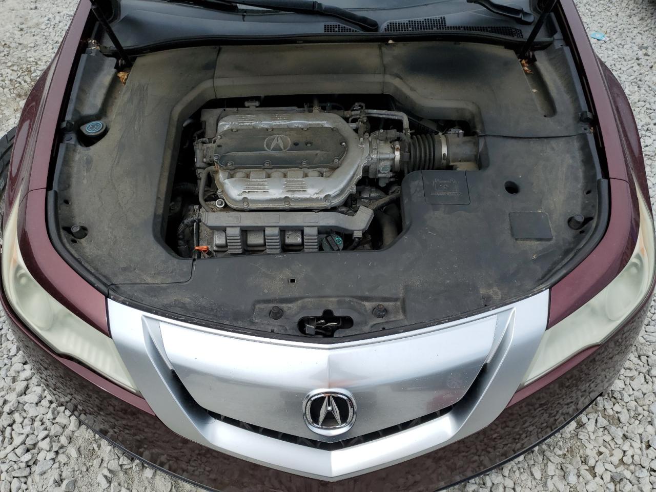 19UUA865X9A005442 2009 Acura Tl