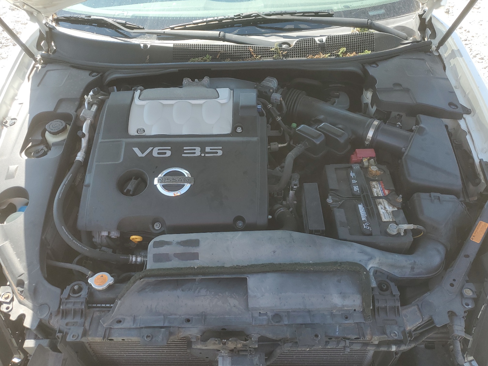 1N4BA41E08C815192 2008 Nissan Maxima Se