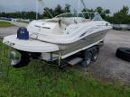 2005 Sea Boat იყიდება Lawrenceburg-ში, KY - Normal Wear
