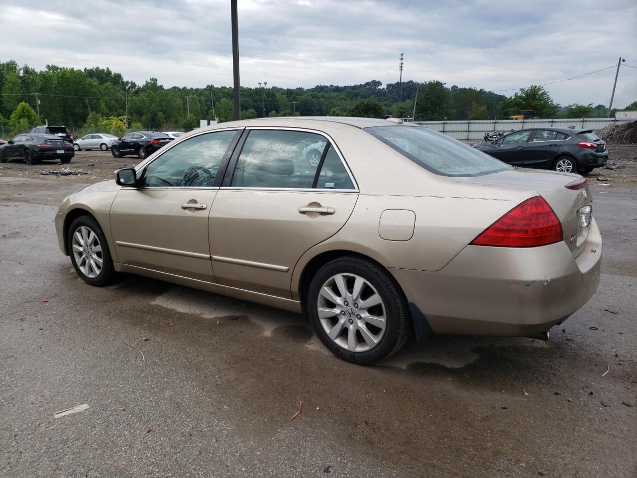 2007 Honda Accord Ex VIN: 1HGCM66517A070295 Lot: 59179353