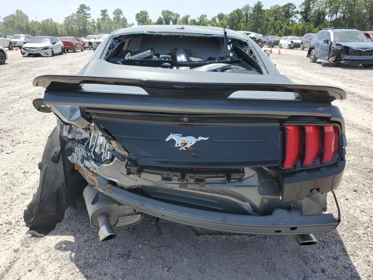 2019 Ford Mustang VIN: 1FA6P8TH4K5146743 Lot: 60653613